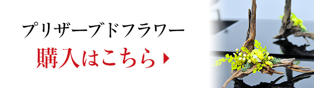 プリザーブドフラワーのご購入はこちらから