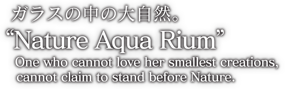  ガラスの中に広がる宇宙。“ネイチャーアクアリウム”