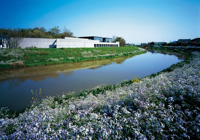 The Nature Aquarium Gallery