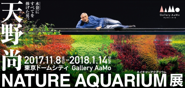 東京ドームシティ『Gallery AaMo（ギャラリー アーモ）』にて 『天野尚 NATURE AQUARIUM展』開催決定