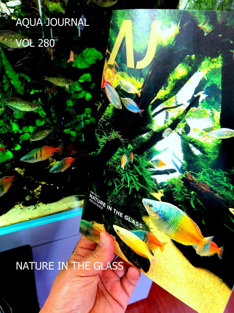 光あふれる水辺　NATURE IN THE　CLASS