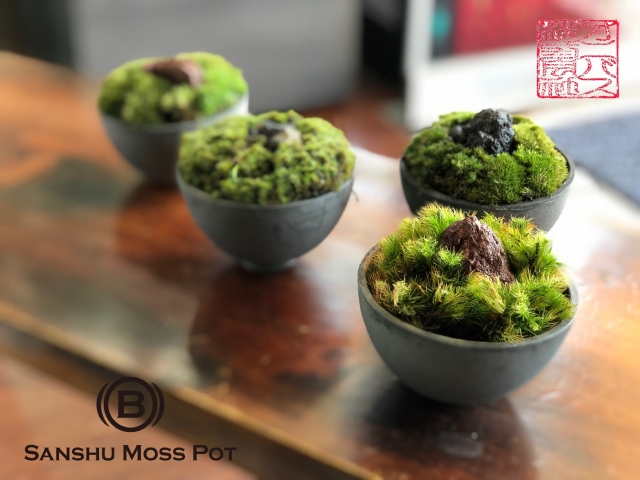 テラベースのお供にSanshu Moss Potも相性抜群です。