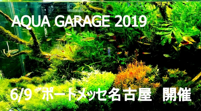 第二回 Aqua Garage 19 開催決定 アクアレビュー Ada正規代理店ネイチャーアクアリウムプロショップ