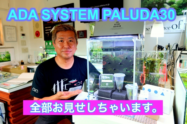 ADA SYSTEM PALUDA 30 器具紹介