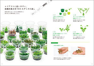 昨今は、水草の主流になりつつあるBIOの水草です。