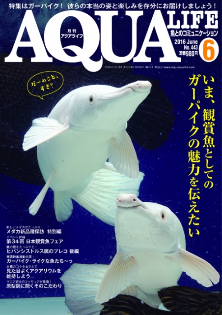 同時販売　AQUALIFE　ショップレビューに当店の紹介がございます。